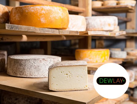 Cheese storage and aging solutions for food industry clients.